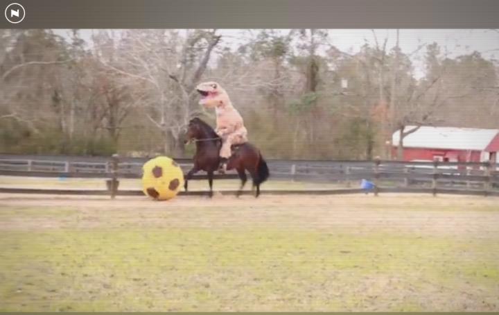 5个实用有趣的网站,奇怪又有趣的网站