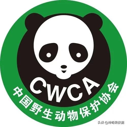 冰墩墩大熊猫,冰墩墩国宝级熊猫