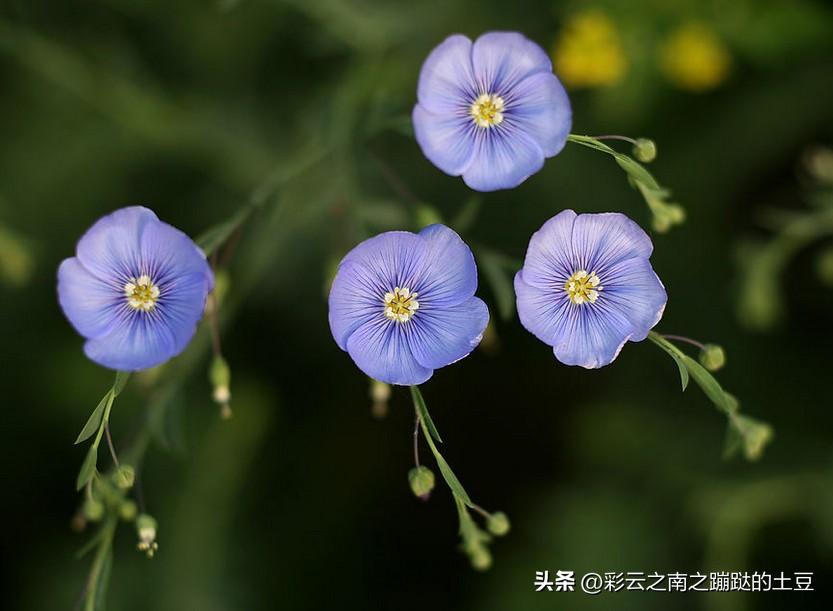 如何破除嗔心,怎么减少心中的恨意