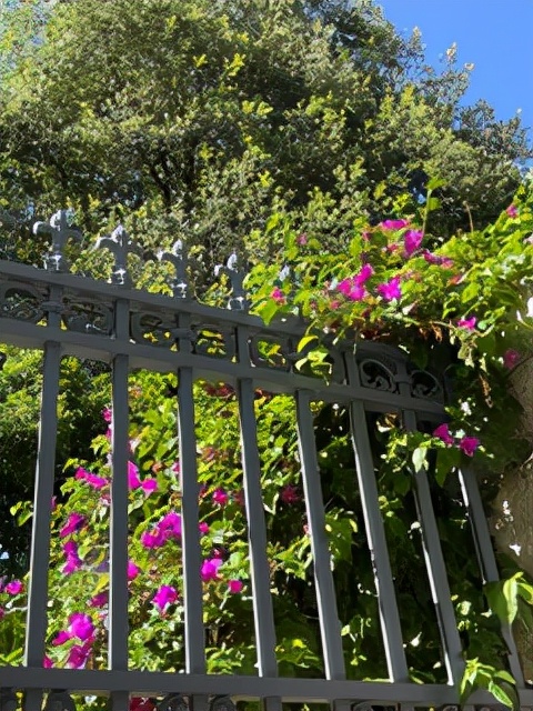 昆明一座让人流连忘返的城市,被低估的旅游城市昆明