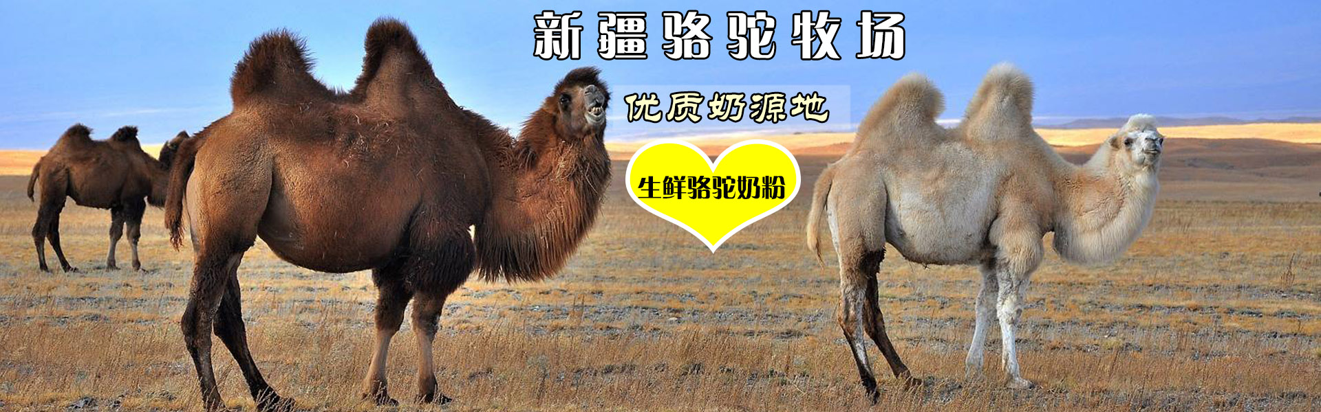 驮中驼产品正规吗,驮中驼生物科技有限公司