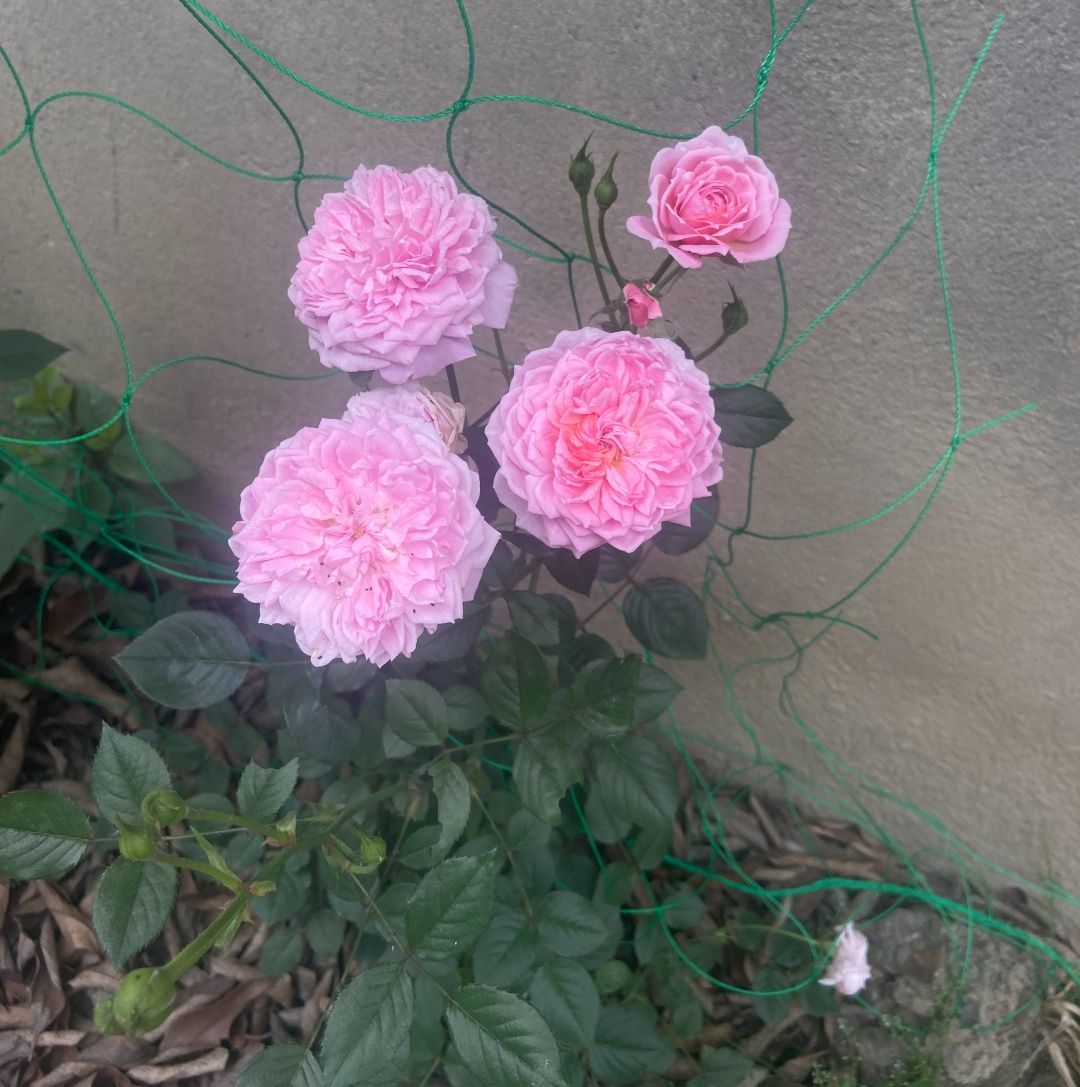 电子厂工作环境一流,电子厂的工作环境都是什么样的