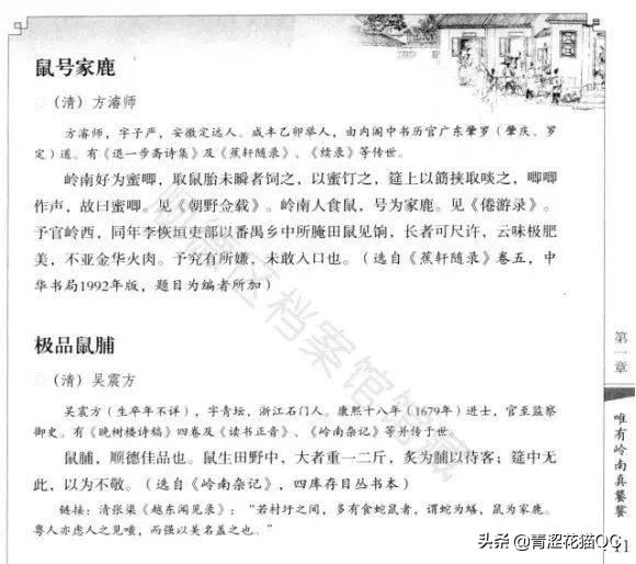 广东老鼠的习惯,吃老鼠哪里的习俗