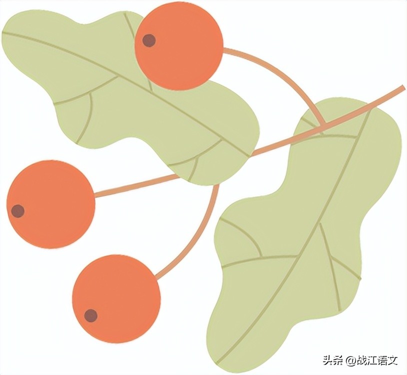 2022全国中考语文名著真题汇编,语文中考试卷2022名著阅读