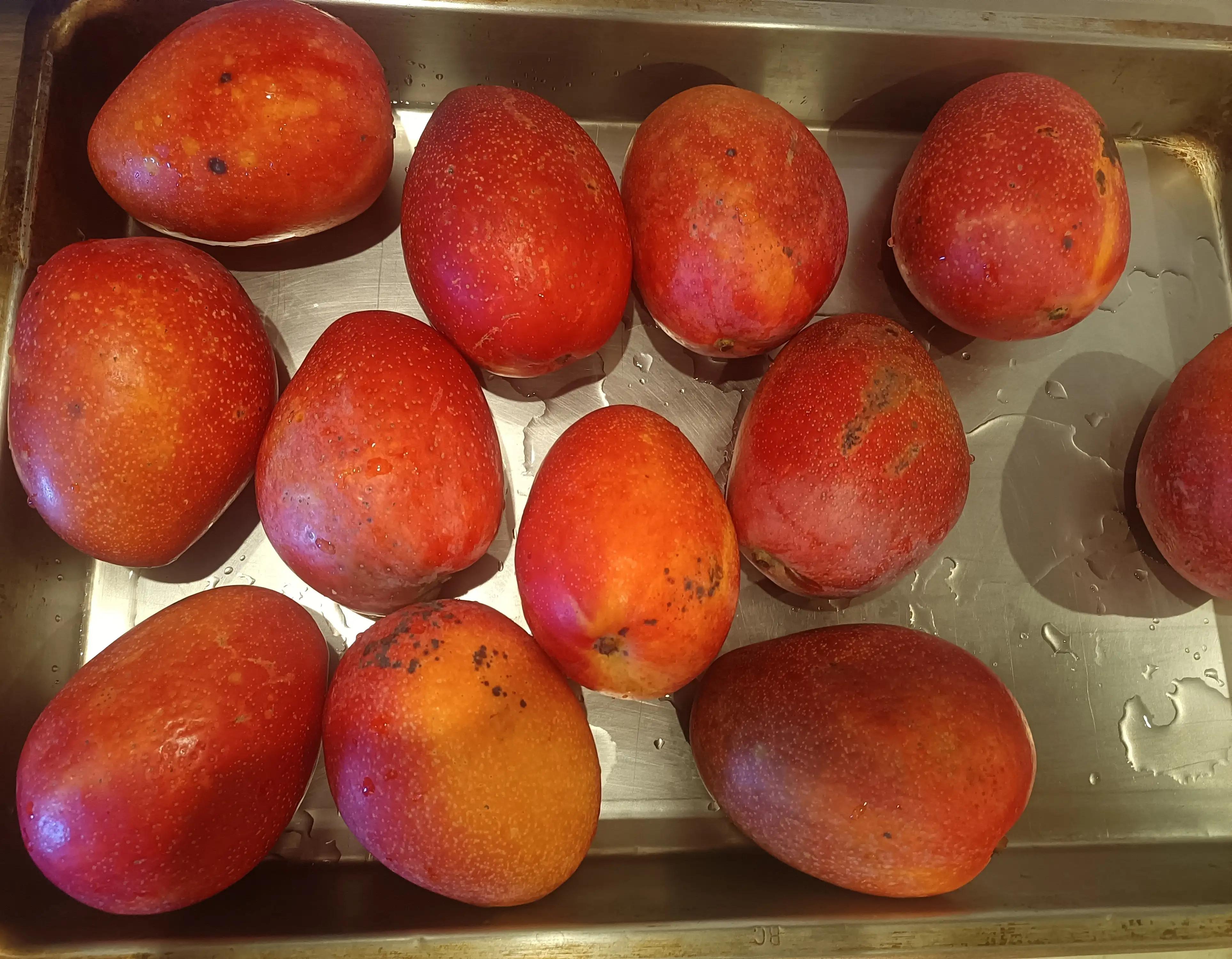 跑船的在船上经常吃海货吗,跑船跑了二十多年