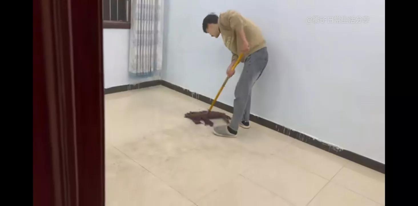 小贤半夜被橘子叫醒,小贤突然约橘子去他家吃饭