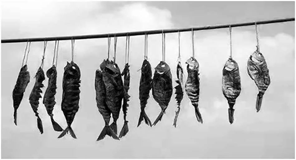 乌拉山车站北侧的王六壕子今昔