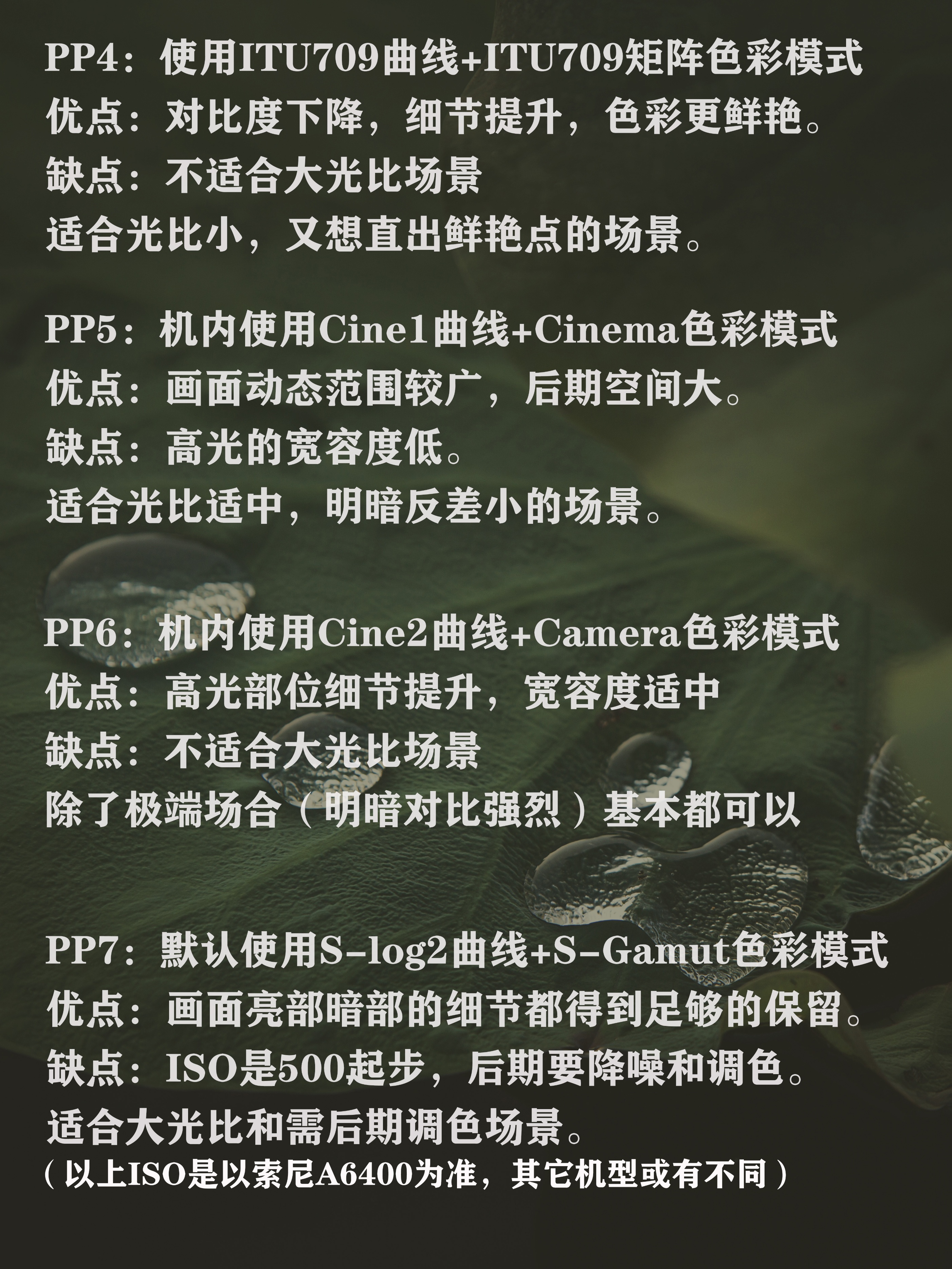 索尼pp值细节等级是什么,索尼pp值1到10的区别