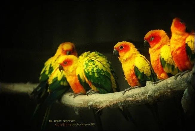 100幅经典摄影作品欣赏,100幅精品摄影图