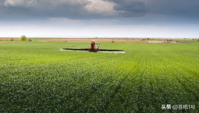 土地农业补贴,农村种地补贴问题