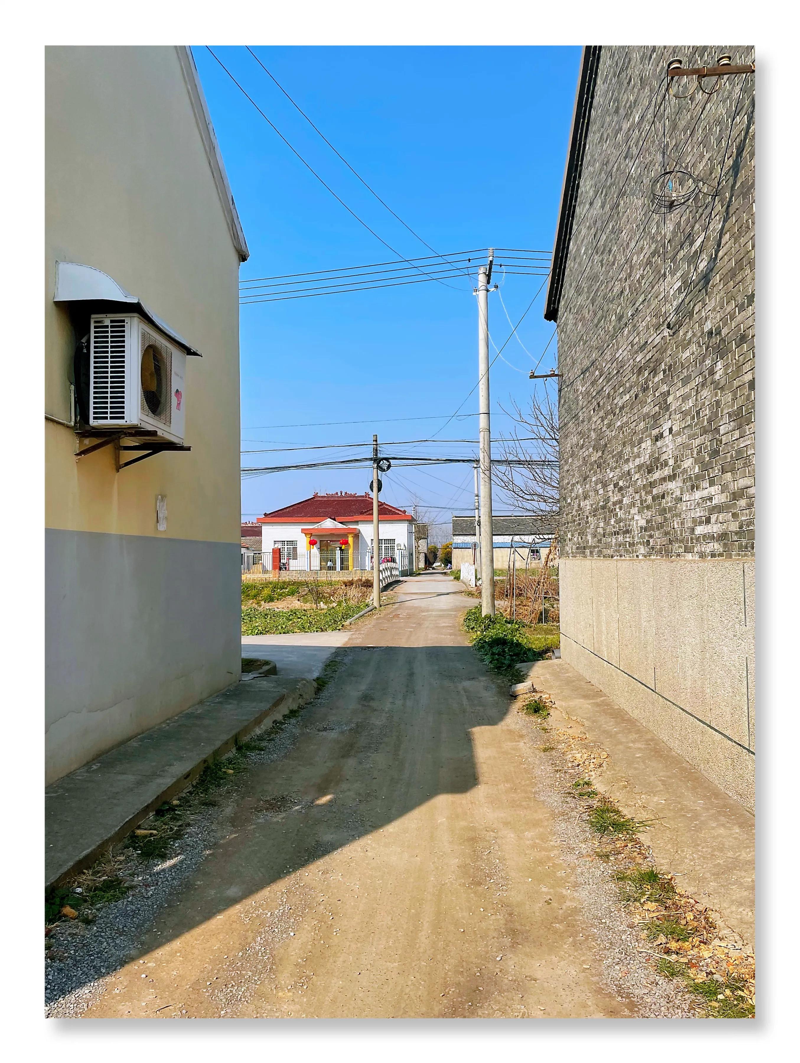 盐城特殊姓氏,江苏盐城哪种姓氏比较普遍