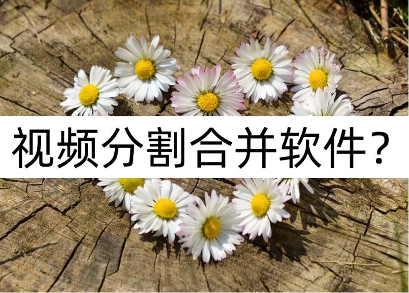 金舟视频分割合并软件多少钱,金舟视频分割合并软件下载