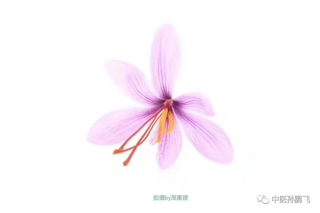 金匮要略知识点总结表,倪海厦金匮要略课堂笔记