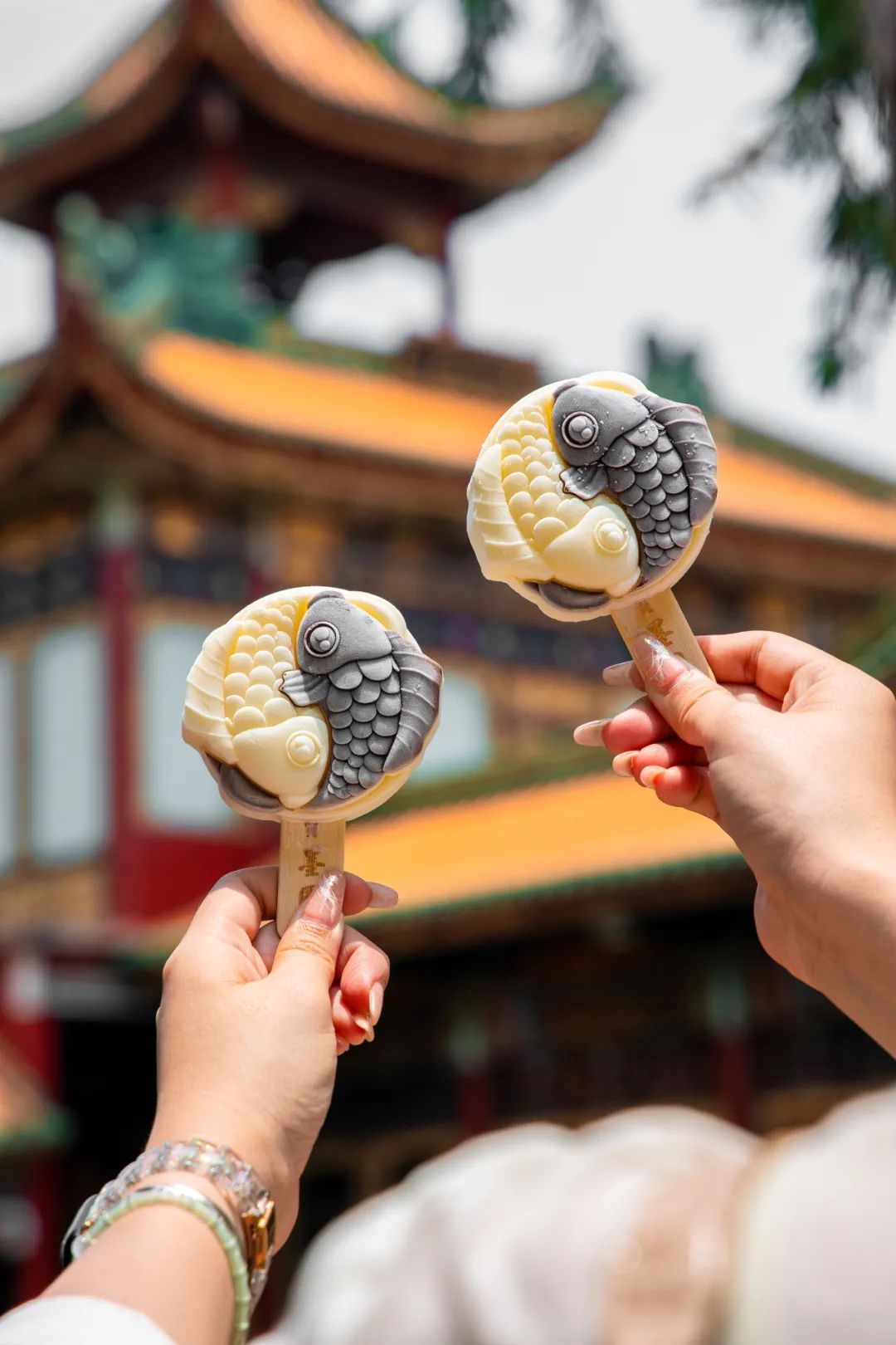 盛夏赴一场荷香之约,与夏天来场清凉的约会