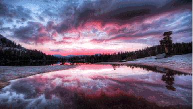 奇奇怪怪可可爱爱语录集,世界奇奇怪怪而你可可爱爱什么梗