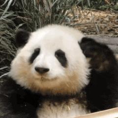 天府机场和双流机场哪个离成都近,成都双流国际机场信息详细介绍