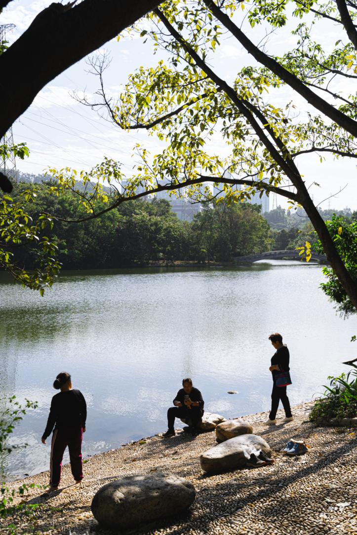 深圳这些新开的公园太美了,深圳淘金山湖景花园