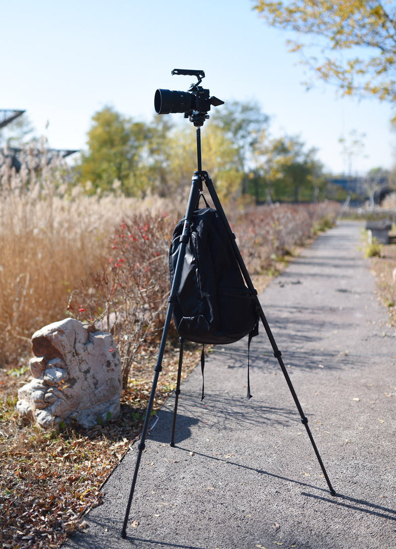 可折叠轻便双肩包优品优选,轻便双肩包可折叠高质量