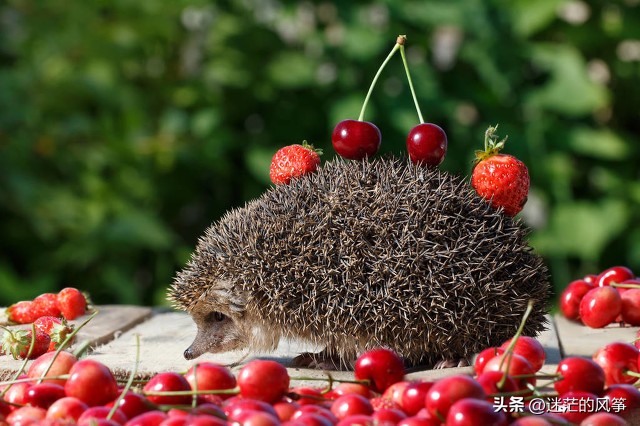 今日人生如水经典语录大全,人生就像足球经典语录