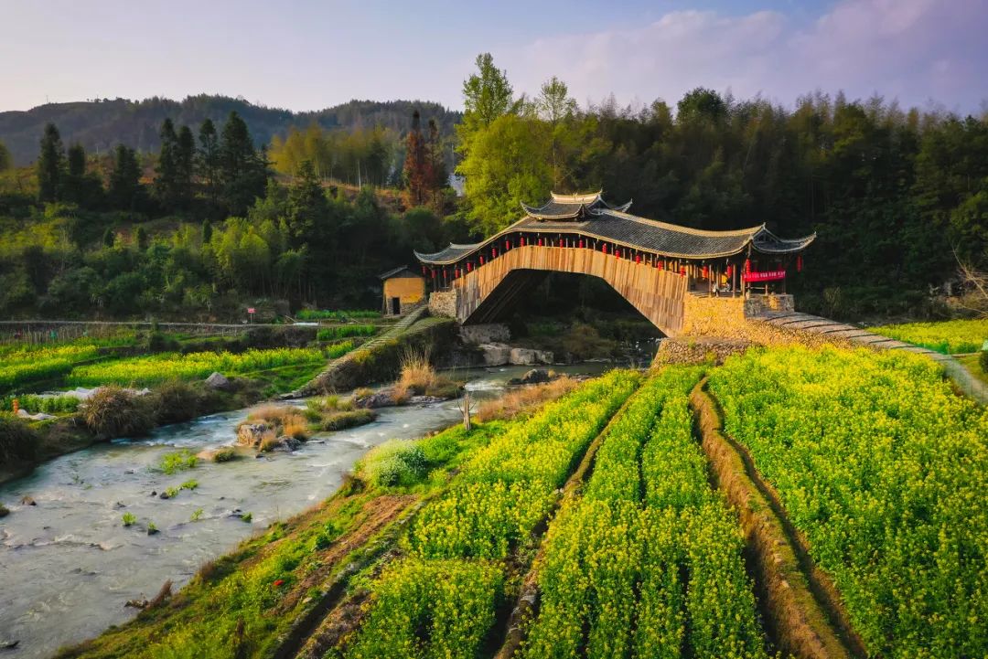 浙江十大公路自驾,浙江神仙居自驾游2-3天推荐