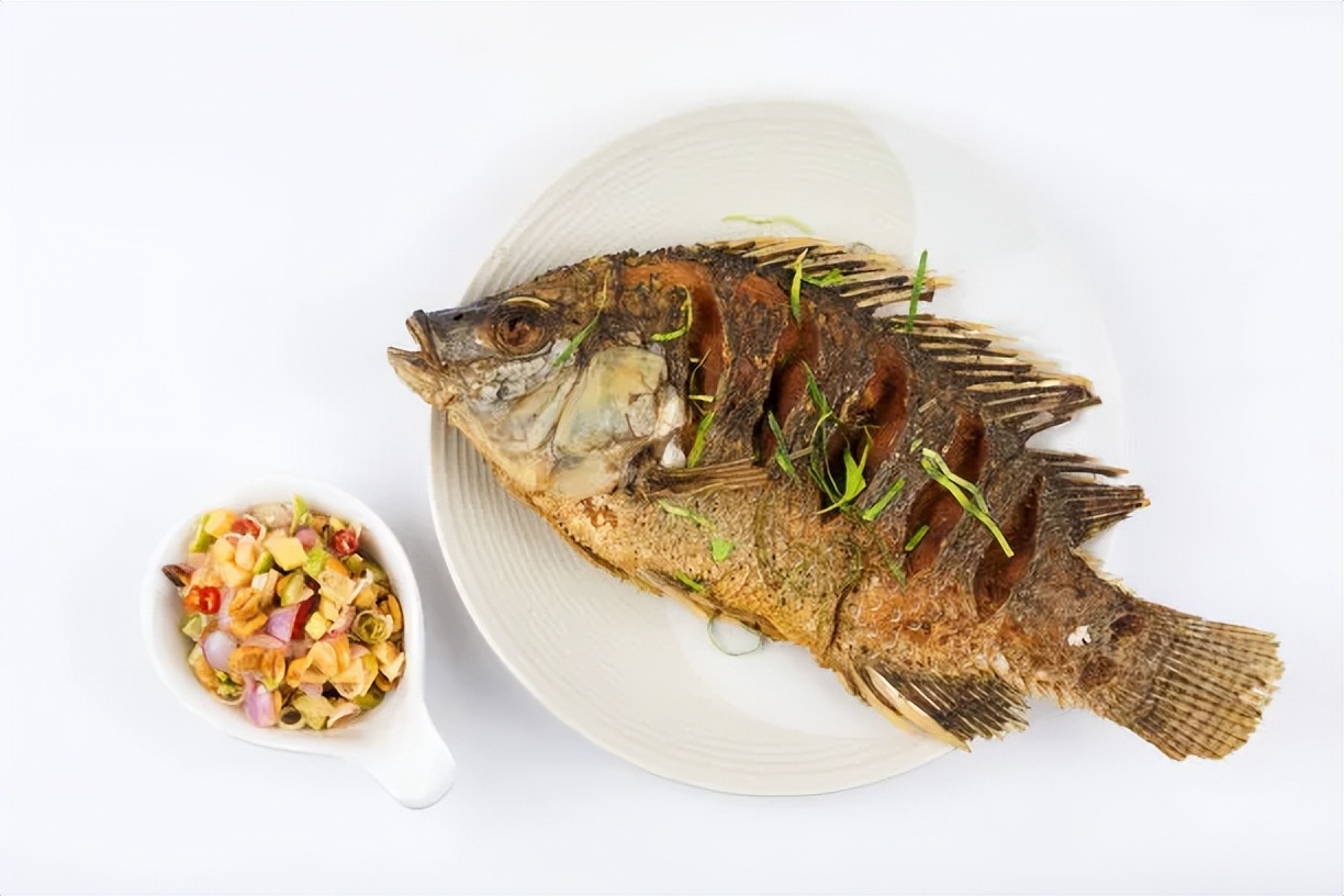 脆肉罗非鱼和罗非鱼有什么区别,罗非鱼和脆肉罗非鱼肉眼怎么区分