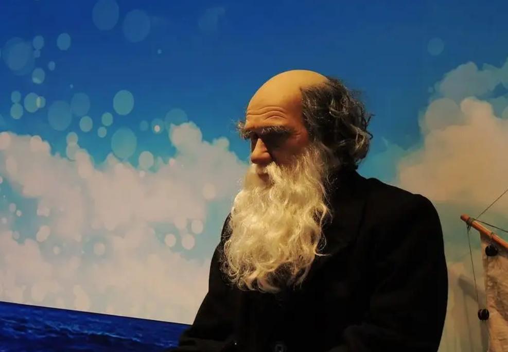 *亲近**繁殖危害很大！这是来自基因的“诅咒”，无法破解