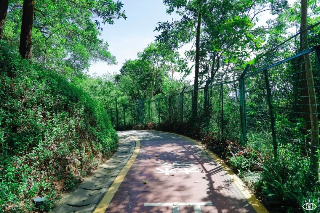 深圳十条景美徒步路线推荐,深圳水库徒步路线图