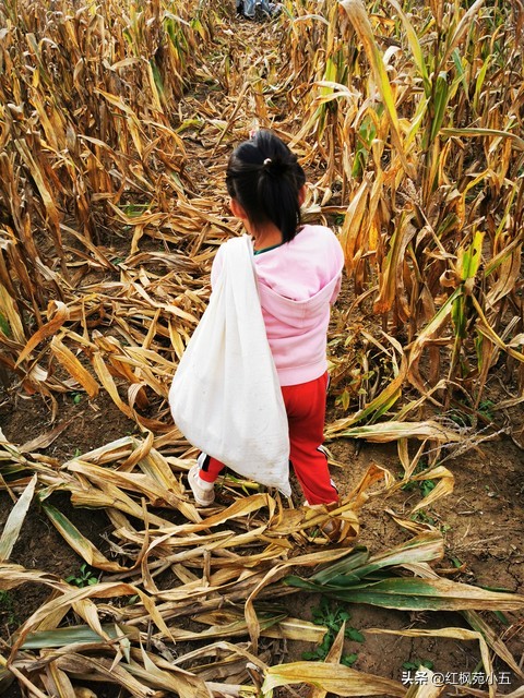 小时候劳累过度后遗症,小时候劳动人民烧火做饭