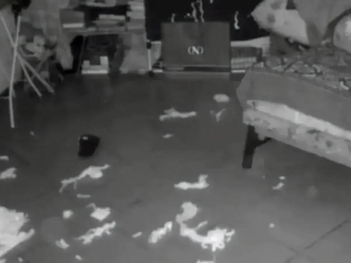 同样是男女搭配绑架勒索，他们比法子英劳荣枝“高”在哪里