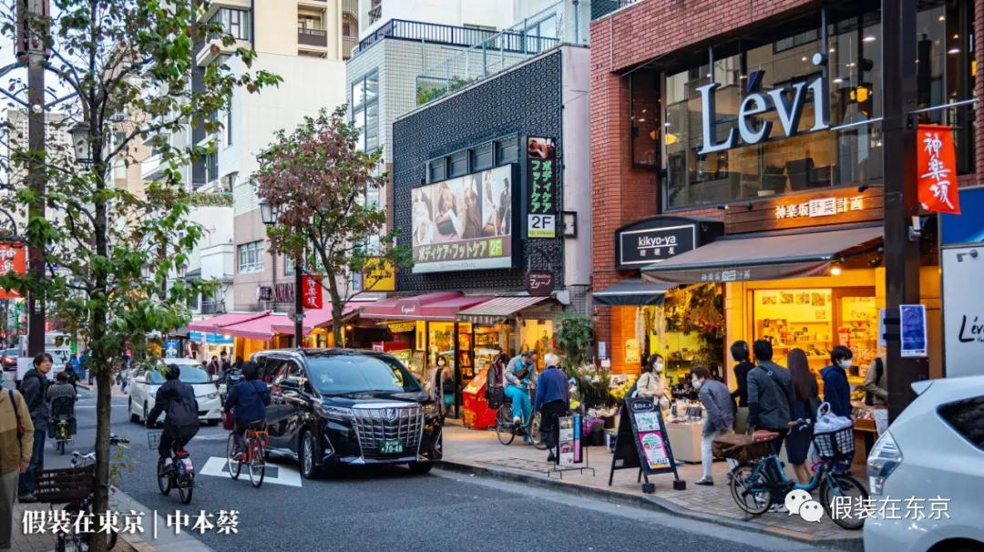 365张照片回顾,365张相片