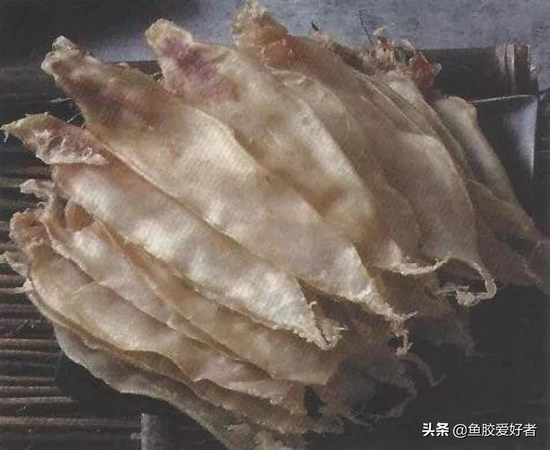 平价鱼胶有哪些,平价好吃的鱼胶品牌有哪些