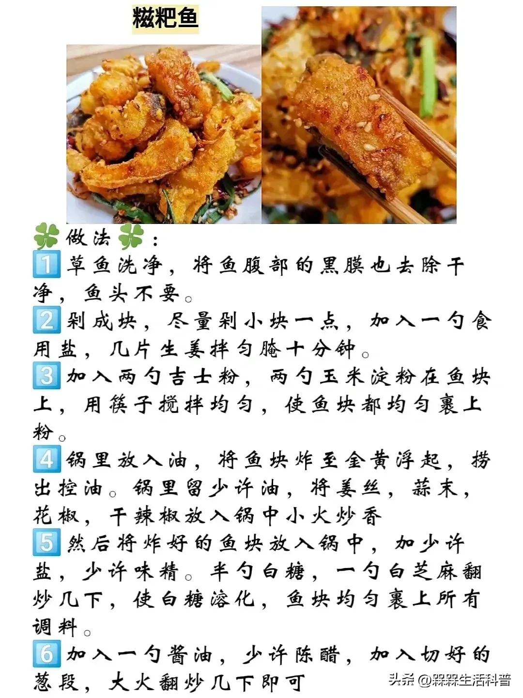 各种鱼图解大全,100种常见家常鱼的图片