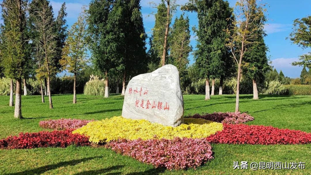 昆明周末打卡最多的网红地方,昆明1903公园最佳网红打卡地