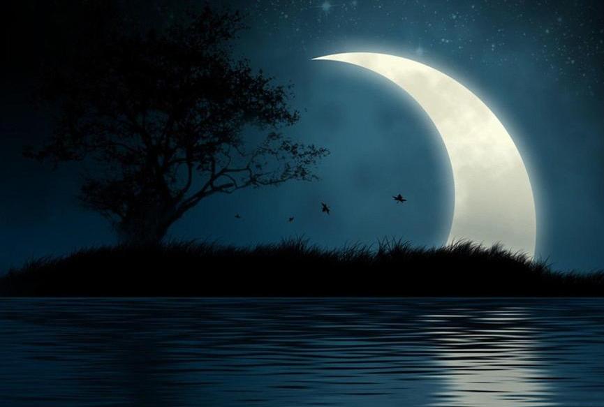 李白秋月无边全文阅读,李白最经典的15首诗