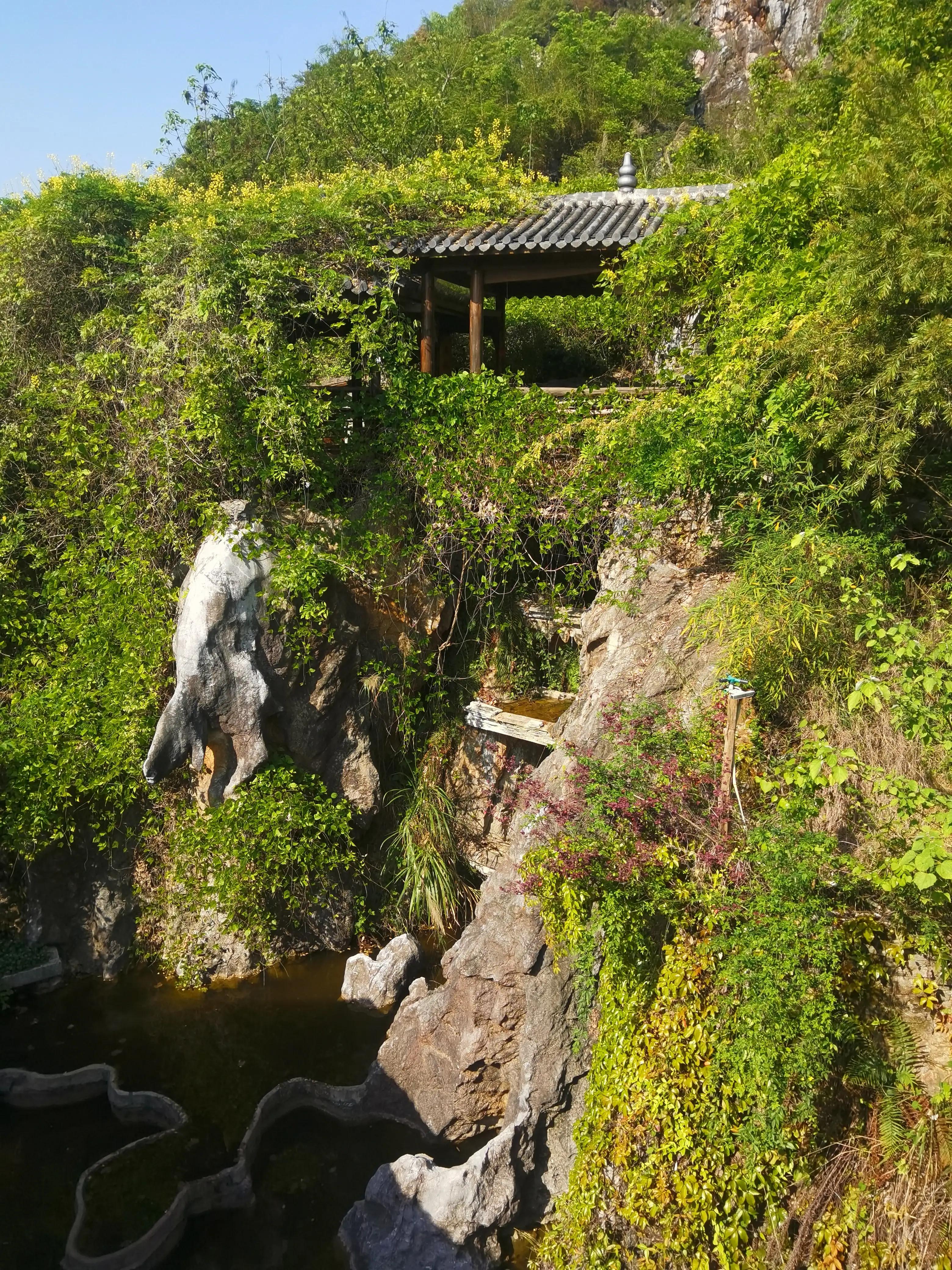 莫言红高粱书,红高粱酒莫言