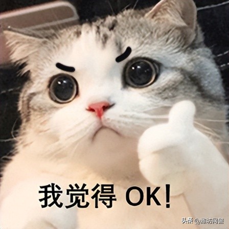 一个情商高的人你能骗她吗,一个智商足够高的人情商不可能低