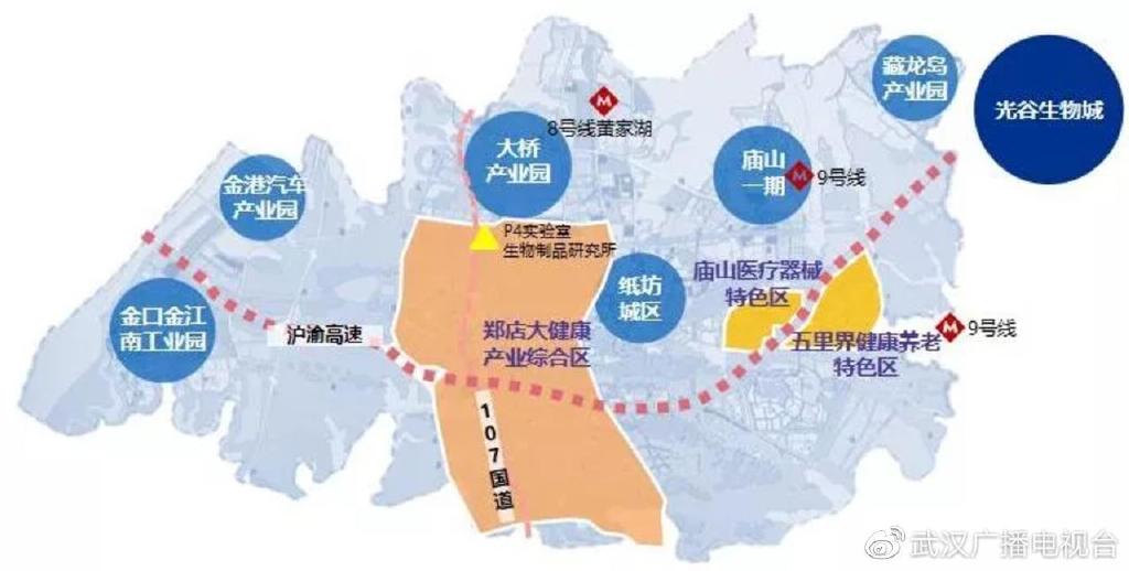 江夏大健康产业园未来前景,武汉江夏郑店光谷南大健康产业园