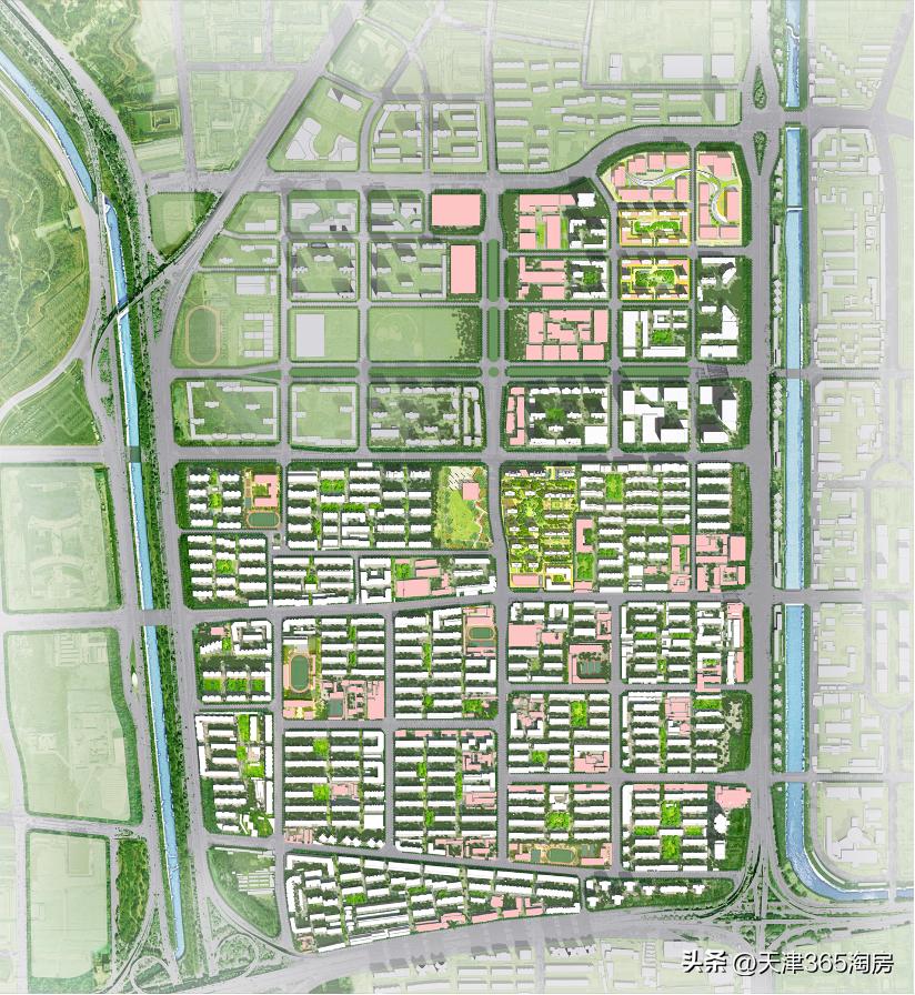 给钱给政策,南开突然站上C位!