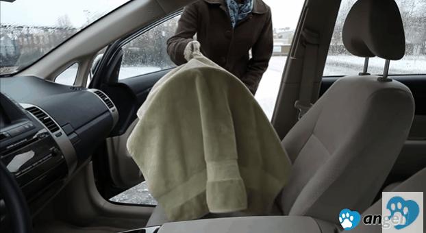 带猫网约车,带猫能打到网约车吗