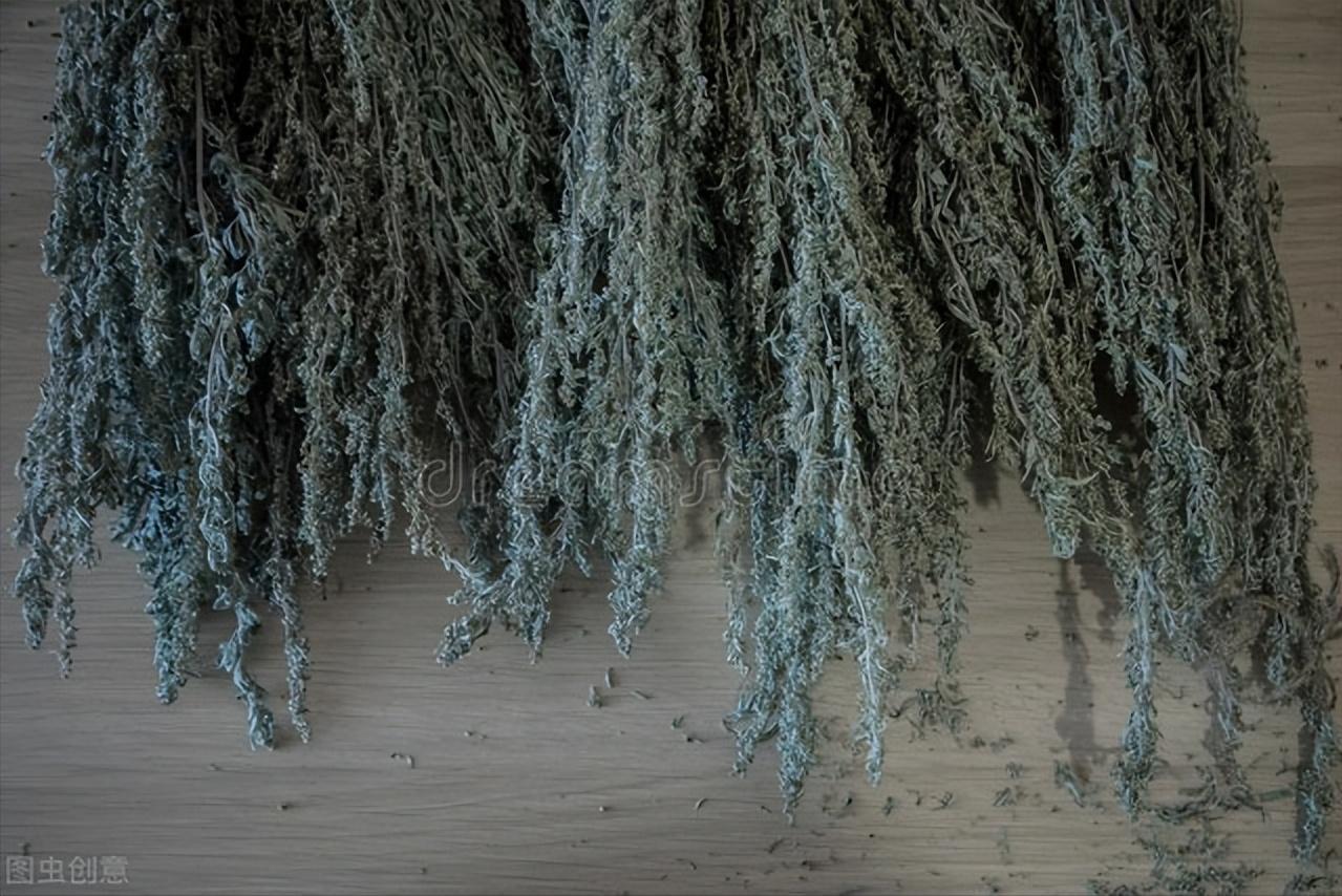 端午挂艾草挂左还是右的正确方法,端午挂的艾草什么时候取下来