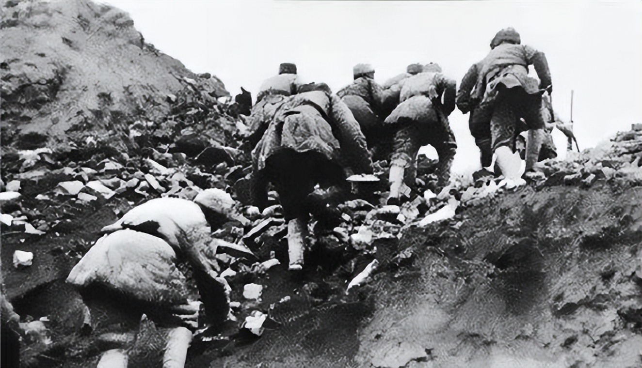 1纵班长发现不远处有一棵小松树，灵机一动大喊：快把梯子搬过来