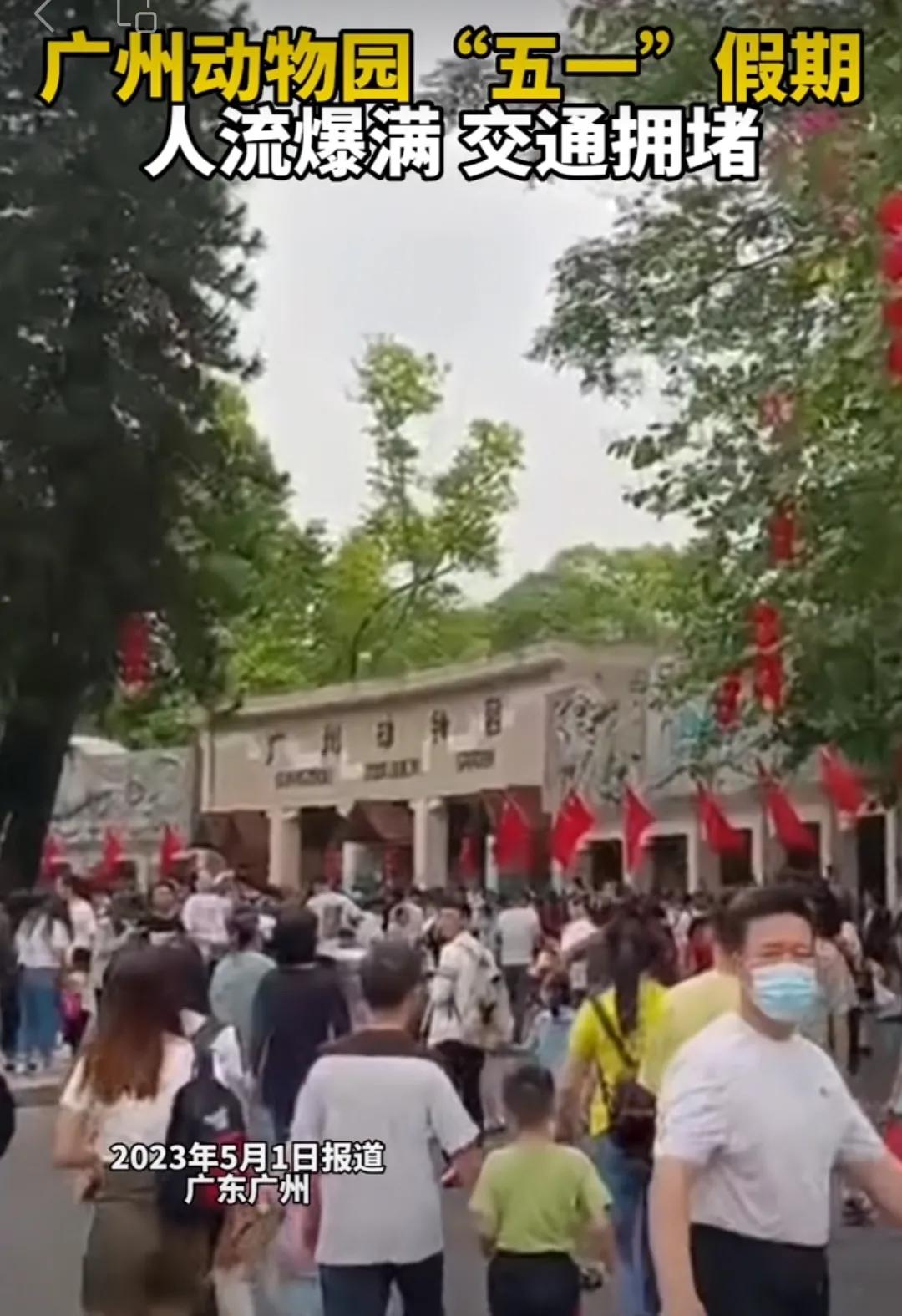 五一广州动物园攻略自由行,五一游广州野生动物园