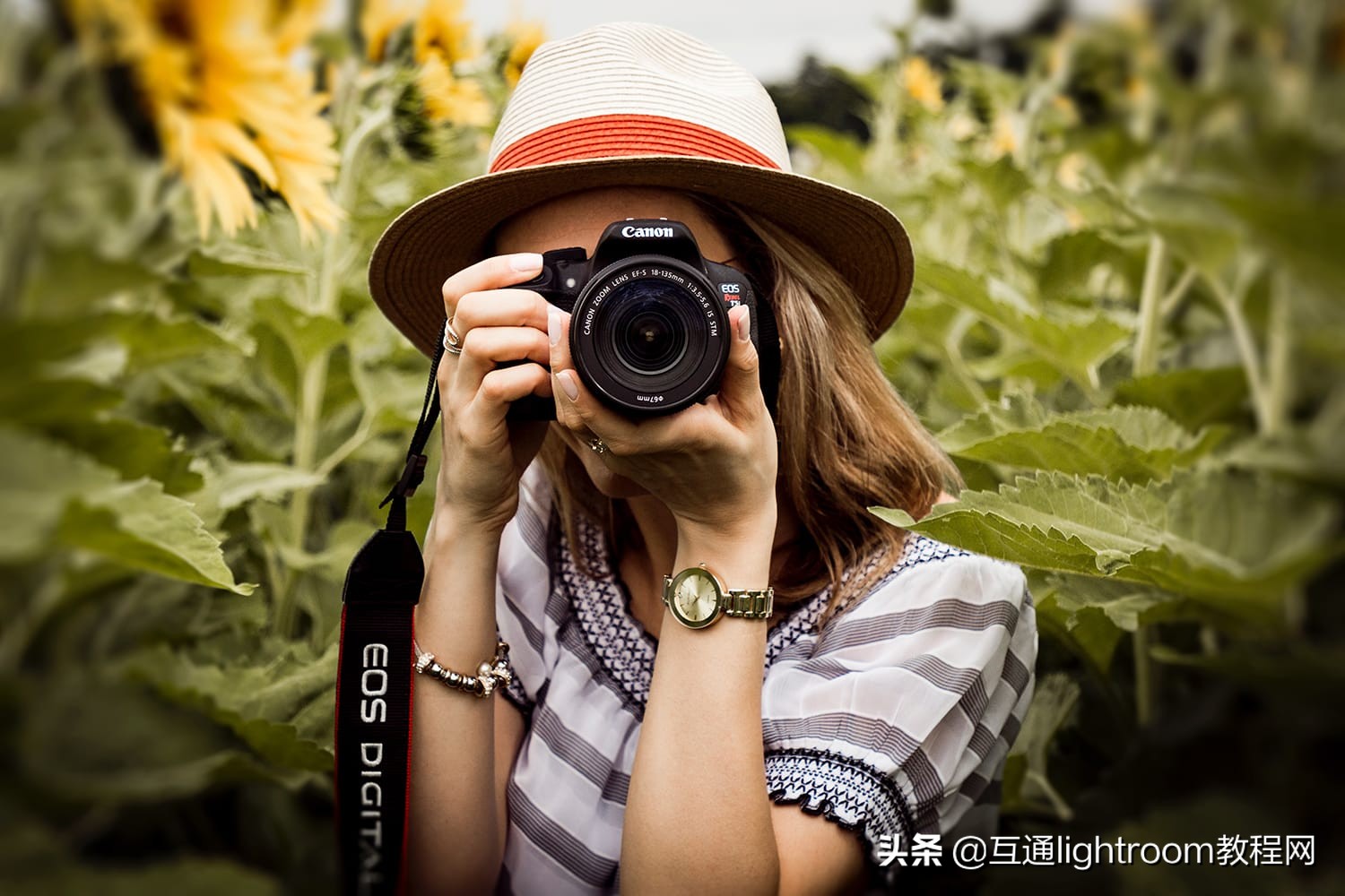 日光比较强烈怎么拍摄,强烈太阳光下如何拍照