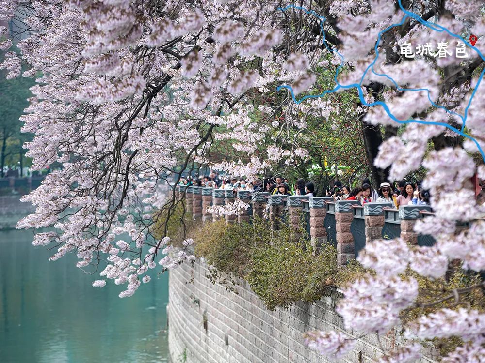 美酒成都,成都的美酒