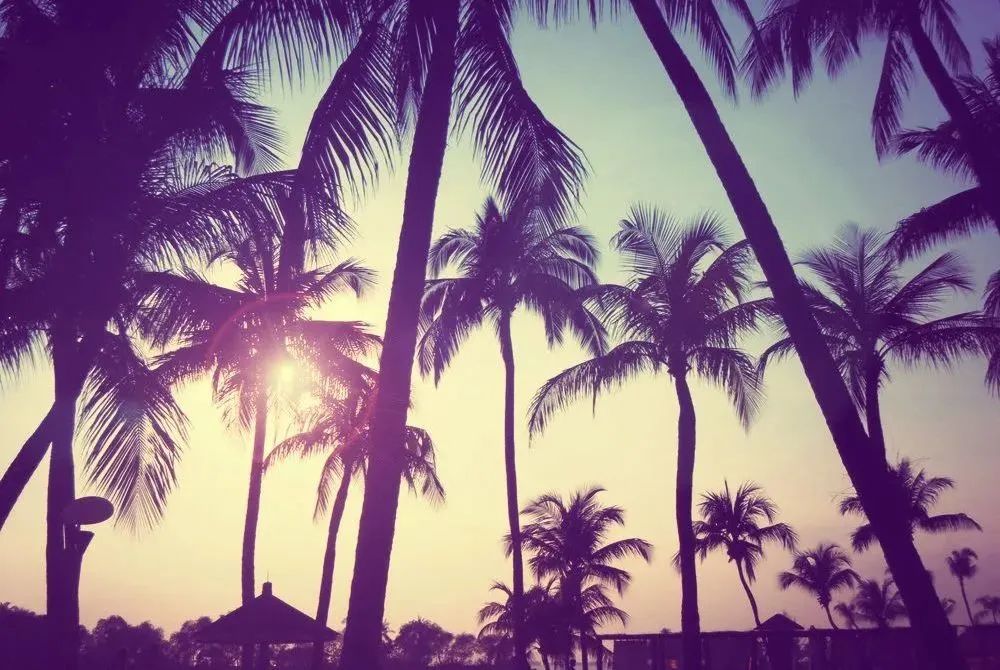 新加坡为什么那么多垃圾桶,新加坡超市不卖垃圾袋吗