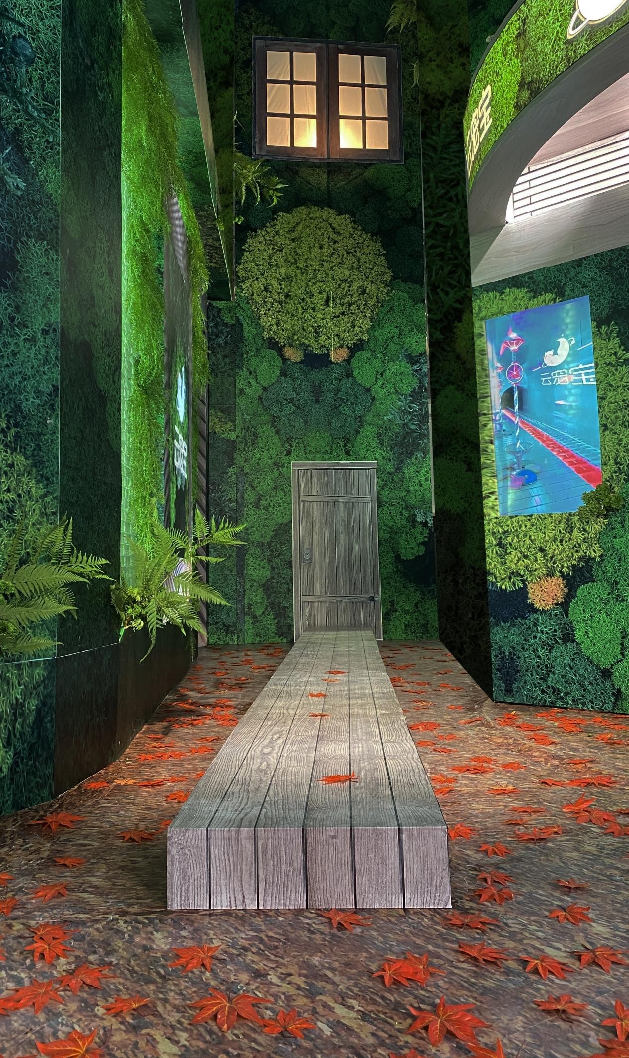 七色主题圆满收官双十一胡兵力拓直播新业态