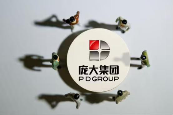 庞大集团为什么主动退市,庞大集团退市了最后结局会怎么样