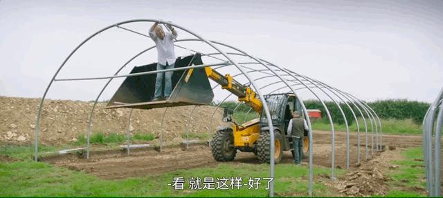 养猪养狗种田真人秀,真人秀十个男生种田