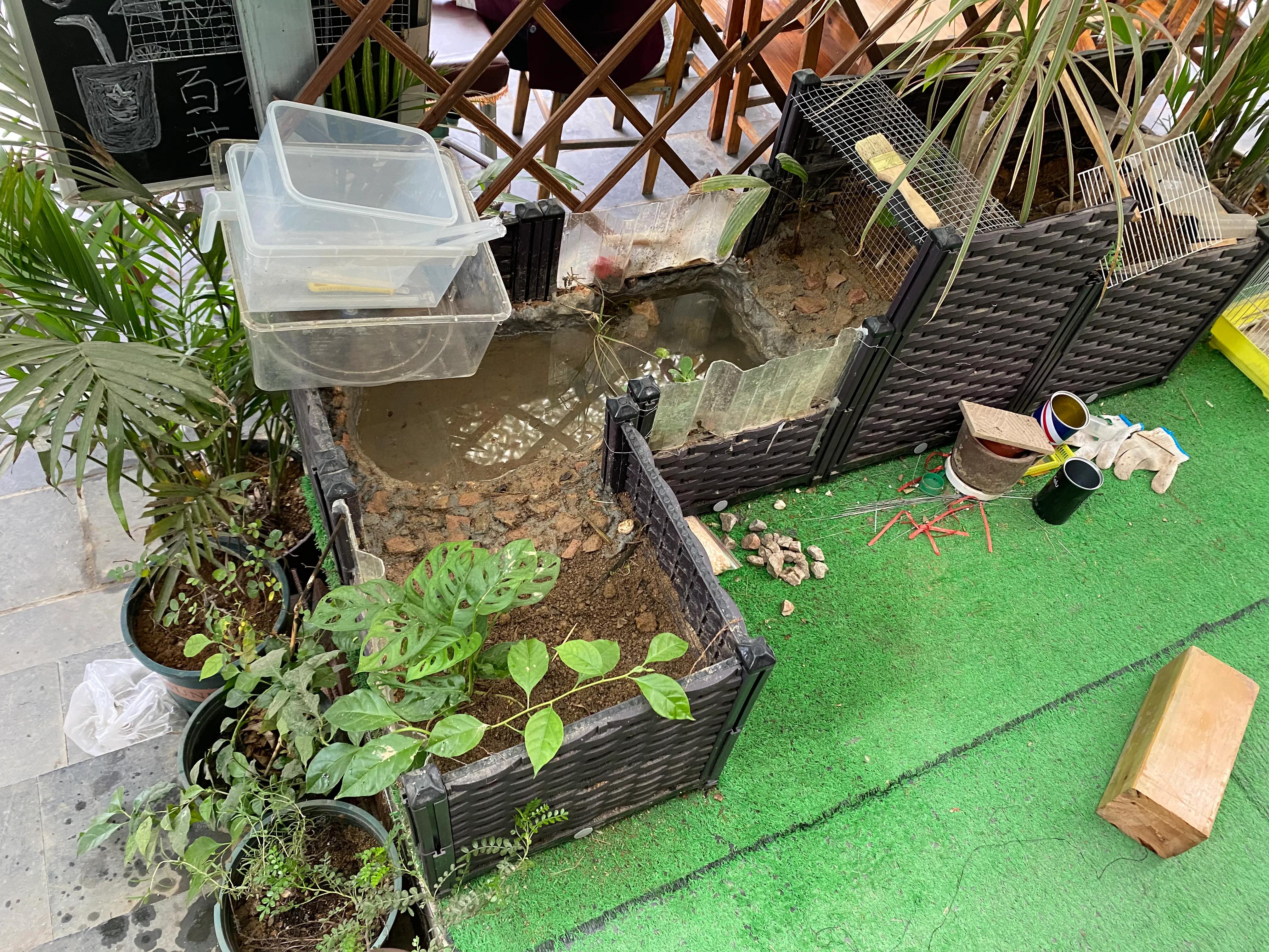 无过滤养龟怎么保持水质清洁,深水养龟用什么过滤效果最好