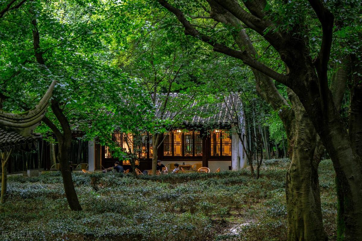 苏州旅游攻略必去十大景点有哪些,苏州最值得去的五个景点